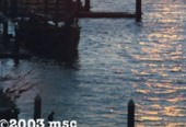 mc-marina1