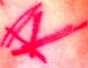 tinkerbel77's picture tinkerbel77's picture